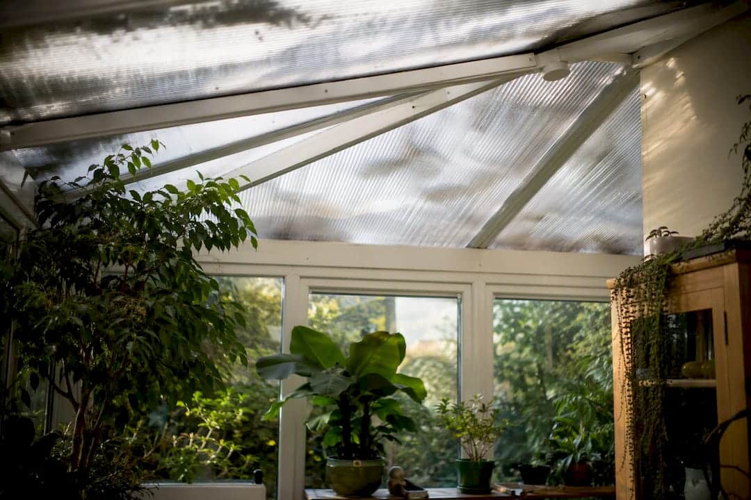 Close-up polycarbonate conservatory roof panel interior